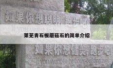 莱芜青石板蘑菇石的简单介绍