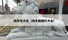 挡车柱大全（挡车器图片大全）