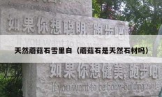 天然蘑菇石雪里白（蘑菇石是天然石材吗）