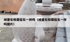 城堡石和蘑菇石一样吗（城堡石和蘑菇石一样吗图片）
