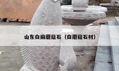山东白麻蘑菇石（白蘑菇石材）