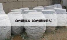 白色蘑菇石（白色蘑菇学名）