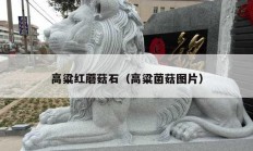 高粱红蘑菇石（高粱菌菇图片）