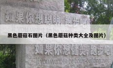 黑色蘑菇石图片（黑色蘑菇种类大全及图片）