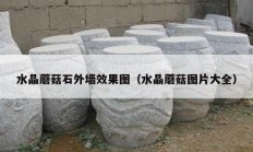 水晶蘑菇石外墙效果图（水晶蘑菇图片大全）