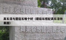 真石漆与蘑菇石哪个好（蘑菇石搭配真石漆效果图）