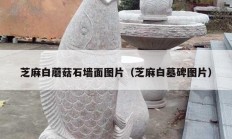 芝麻白蘑菇石墙面图片（芝麻白墓碑图片）