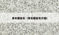 青石蘑菇石（青石蘑菇石介绍）