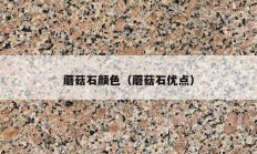 蘑菇石颜色（蘑菇石优点）