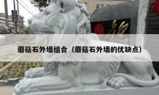 蘑菇石外墙组合（蘑菇石外墙的优缺点）