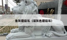 鲁灰蘑菇石（深灰色蘑菇石）