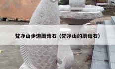 梵净山步道蘑菇石（梵净山的蘑菇石）