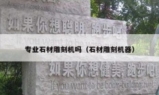 专业石材雕刻机吗（石材雕刻机器）