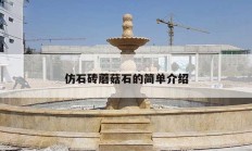 仿石砖蘑菇石的简单介绍