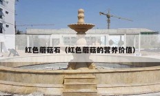 红色蘑菇石（红色蘑菇的营养价值）