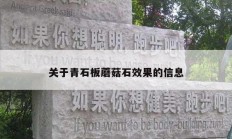 关于青石板蘑菇石效果的信息