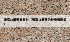 张家口蘑菇石石材（张家口蘑菇的种类带图解）