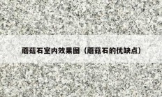 蘑菇石室内效果图（蘑菇石的优缺点）