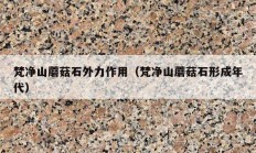 梵净山蘑菇石外力作用（梵净山蘑菇石形成年代）