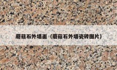 蘑菇石外墙面（蘑菇石外墙瓷砖图片）