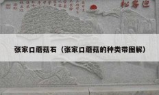 张家口蘑菇石（张家口蘑菇的种类带图解）