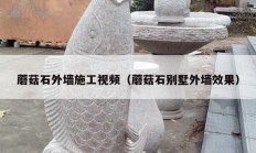 蘑菇石外墙施工视频（蘑菇石别墅外墙效果）