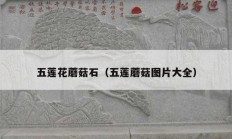 五莲花蘑菇石（五莲蘑菇图片大全）