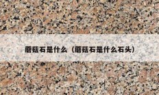 蘑菇石是什么（蘑菇石是什么石头）