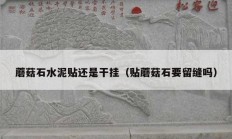 蘑菇石水泥贴还是干挂（贴蘑菇石要留缝吗）