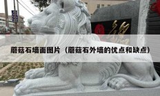 蘑菇石墙面图片（蘑菇石外墙的优点和缺点）