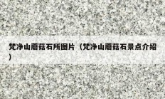 梵净山蘑菇石所图片（梵净山蘑菇石景点介绍）