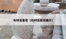 石材五莲花（石材五莲花图片）