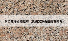 铜仁梵净山蘑菇石（贵州梵净山蘑菇石简介）