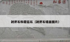 剁斧石和蘑菇石（剁斧石墙面图片）