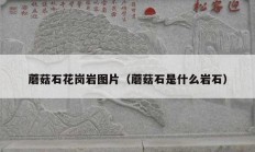 蘑菇石花岗岩图片（蘑菇石是什么岩石）