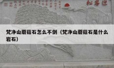 梵净山蘑菇石怎么不倒（梵净山蘑菇石是什么岩石）