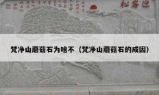 梵净山蘑菇石为啥不（梵净山蘑菇石的成因）