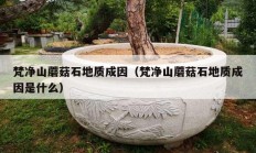 梵净山蘑菇石地质成因（梵净山蘑菇石地质成因是什么）