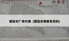 蘑菇石厂商代理（蘑菇石哪里有卖的）
