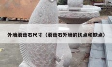 外墙蘑菇石尺寸（蘑菇石外墙的优点和缺点）