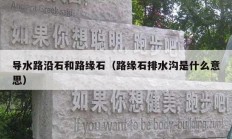 导水路沿石和路缘石（路缘石排水沟是什么意思）