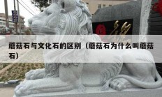 蘑菇石与文化石的区别（蘑菇石为什么叫蘑菇石）