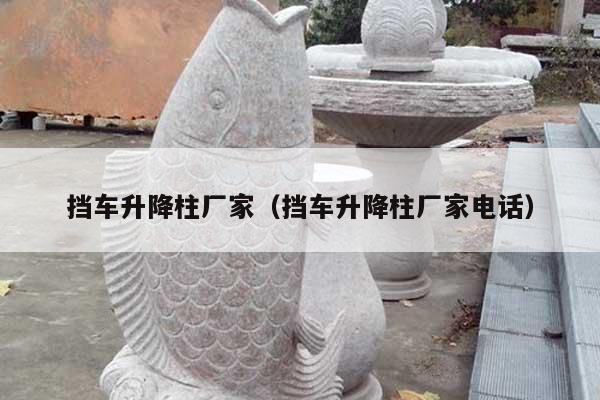 挡车升降柱厂家(挡车升降柱厂家电话)