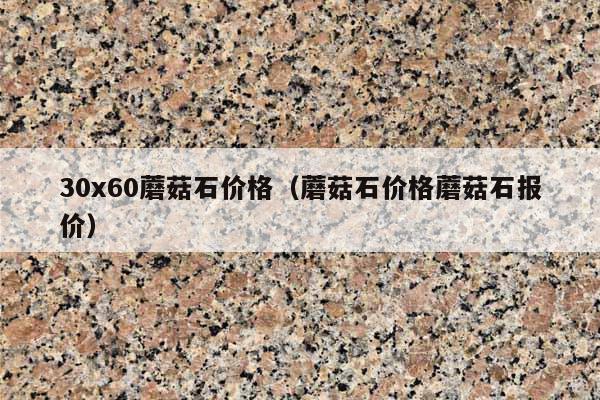 30x60蘑菇石价格(蘑菇石价格蘑菇石报价)
