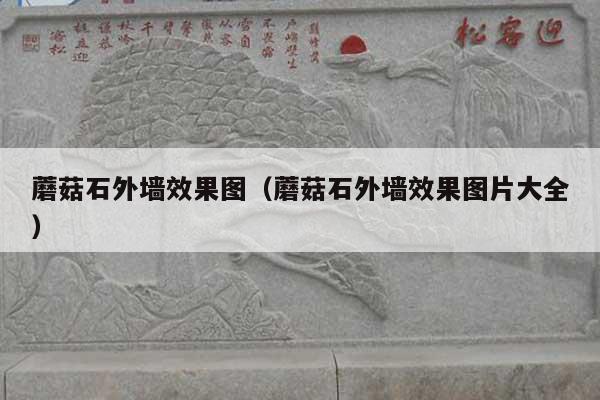 蘑菇石外墙效果图(蘑菇石外墙效果图片大全)