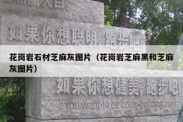 花岗岩石材芝麻灰图片(花岗岩芝麻黑和芝麻灰图片)
