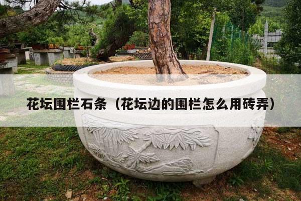 花坛围栏石条(花坛边的围栏怎么用砖弄)