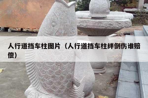 人行道挡车柱图片(人行道挡车柱绊倒伤谁赔偿)