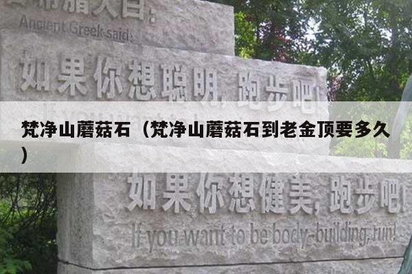 梵净山蘑菇石(梵净山蘑菇石到老金顶要多久)