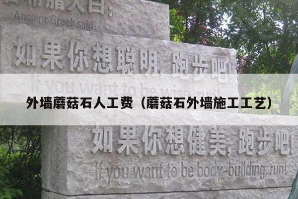 外墙蘑菇石人工费(蘑菇石外墙施工工艺)